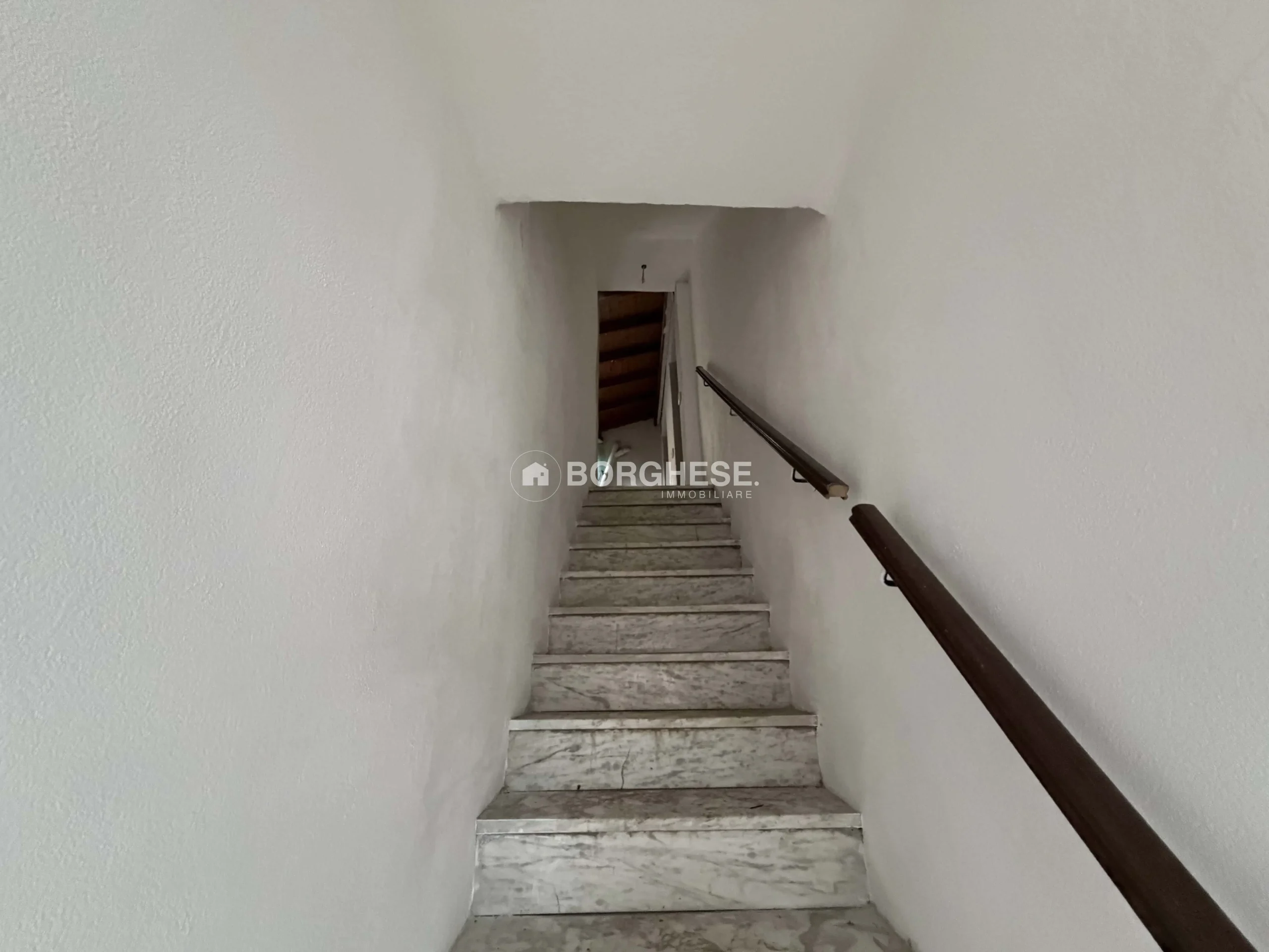 23 1
