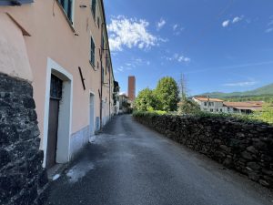 img 7059