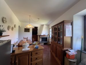 img 7082
