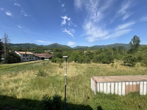 img 7086