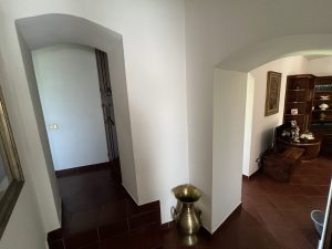 img 7094
