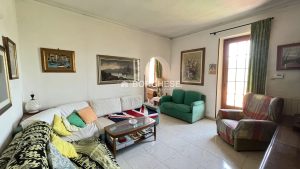 img 8425 2 copia 2 (12)