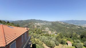 img 8425 2 copia 2 (18)
