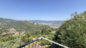 img 8425 2 copia 2 (26)